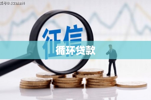 内湖循环贷款