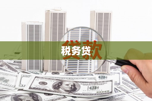 内湖税务贷