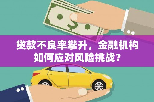 内湖贷款不良率攀升，金融机构如何应对风险挑战？