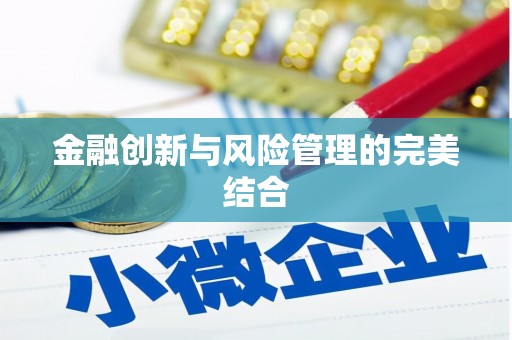 内湖金融创新与风险管理的完美结合