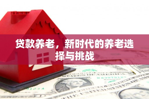 内湖贷款养老，新时代的养老选择与挑战