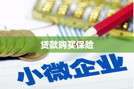 内湖贷款购买保险