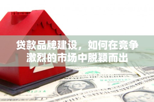 内湖贷款品牌建设，如何在竞争激烈的市场中脱颖而出
