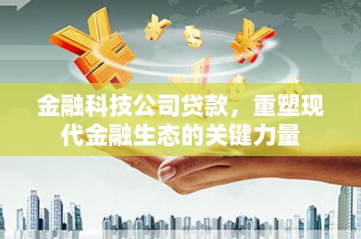 内湖金融科技公司贷款，重塑现代金融生态的关键力量