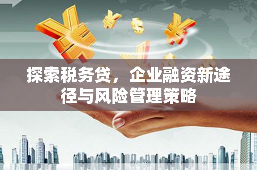 内湖探索税务贷，企业融资新途径与风险管理策略