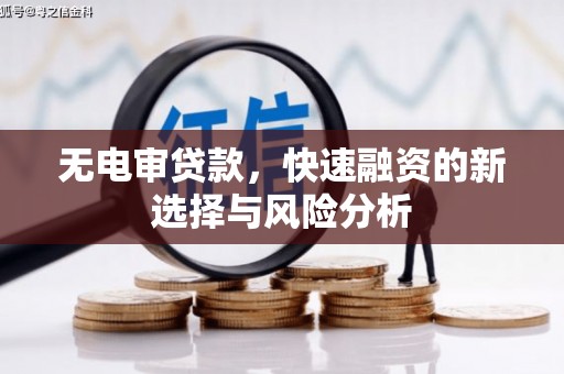 内湖无电审贷款，快速融资的新选择与风险分析