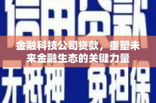 内湖金融科技公司贷款，重塑未来金融生态的关键力量