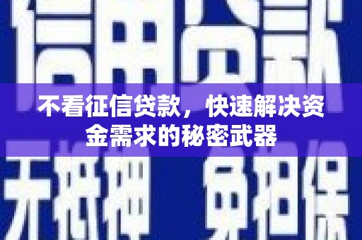 内湖不看征信贷款，快速解决资金需求的秘密武器