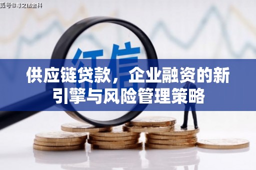 内湖供应链贷款，企业融资的新引擎与风险管理策略