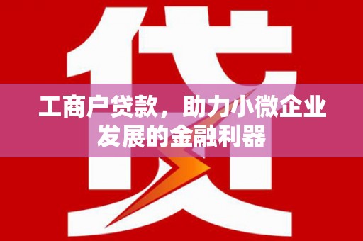 内湖工商户贷款，助力小微企业发展的金融利器