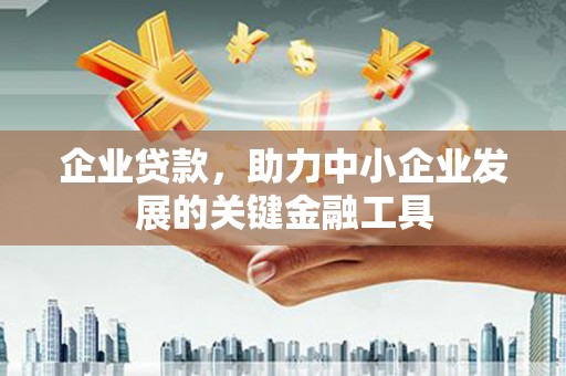内湖企业贷款，助力中小企业发展的关键金融工具