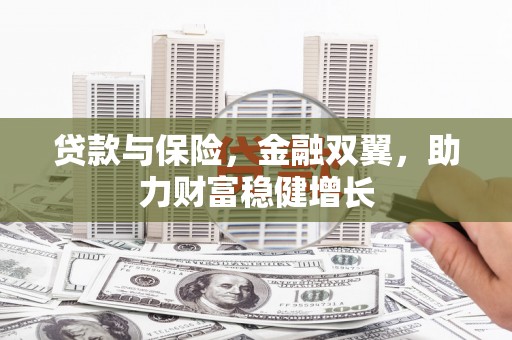 内湖贷款与保险，金融双翼，助力财富稳健增长