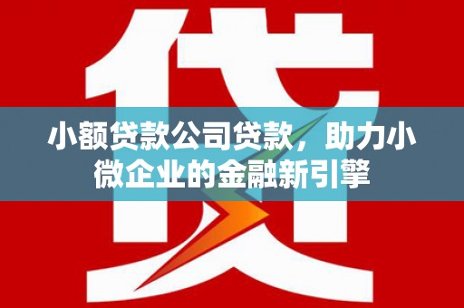 内湖小额贷款公司贷款，助力小微企业的金融新引擎