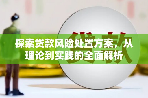 内湖探索贷款风险处置方案，从理论到实践的全面解析