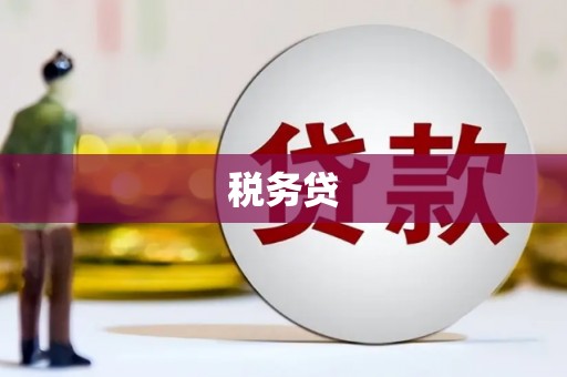内湖税务贷