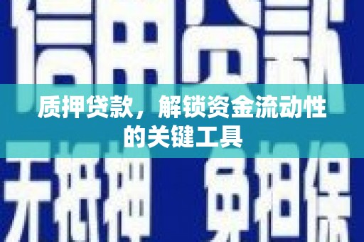 内湖质押贷款，解锁资金流动性的关键工具