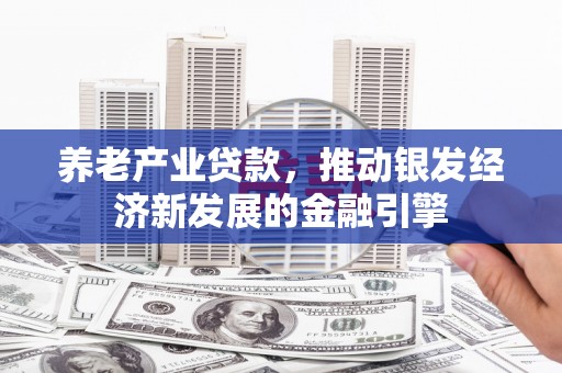 内湖养老产业贷款，推动银发经济新发展的金融引擎