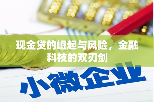 内湖现金贷的崛起与风险，金融科技的双刃剑