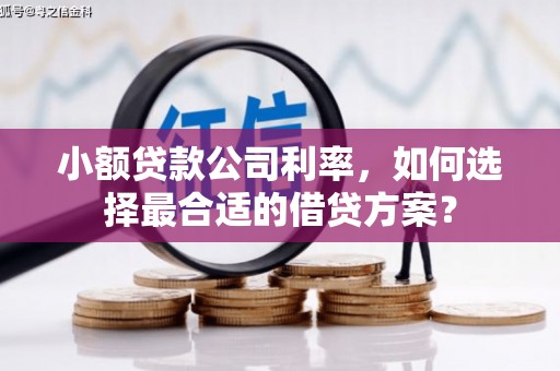 内湖小额贷款公司利率，如何选择最合适的借贷方案？