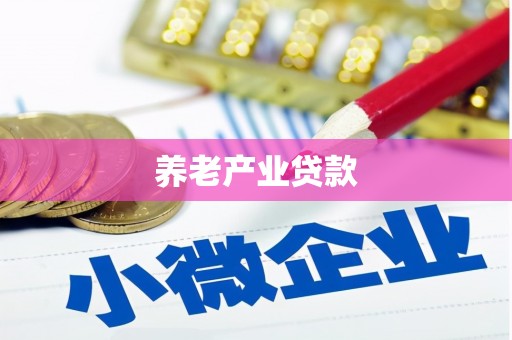 内湖养老产业贷款