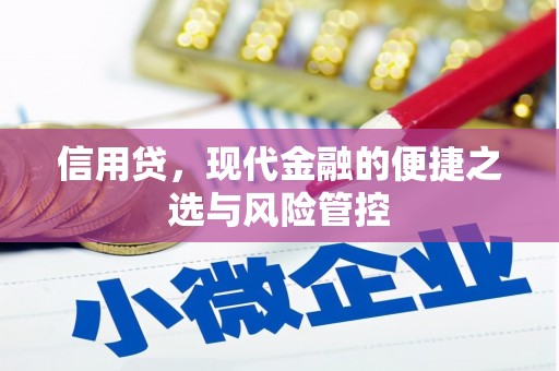 内湖信用贷，现代金融的便捷之选与风险管控