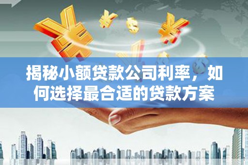内湖揭秘小额贷款公司利率，如何选择最合适的贷款方案
