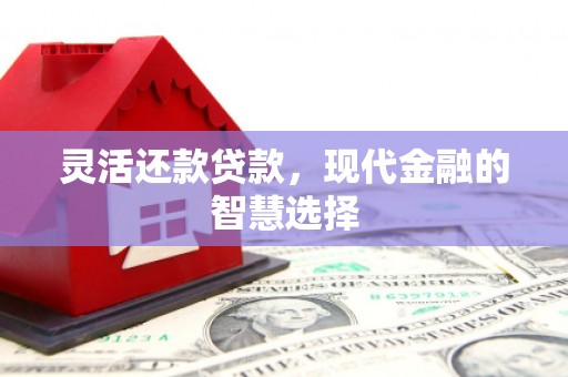 内湖灵活还款贷款，现代金融的智慧选择
