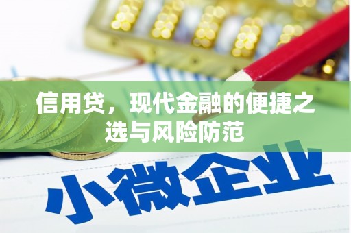 内湖信用贷，现代金融的便捷之选与风险防范