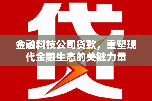 内湖金融科技公司贷款，重塑现代金融生态的关键力量
