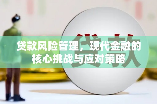 内湖贷款风险管理，现代金融的核心挑战与应对策略