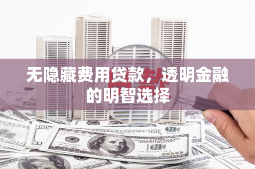 内湖无隐藏费用贷款，透明金融的明智选择