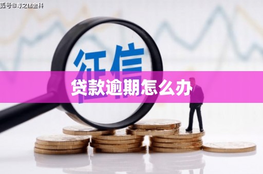内湖贷款逾期怎么办