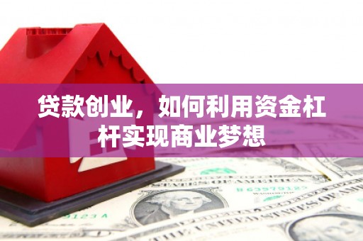 内湖贷款创业，如何利用资金杠杆实现商业梦想