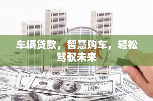 内湖车辆贷款，智慧购车，轻松驾驭未来