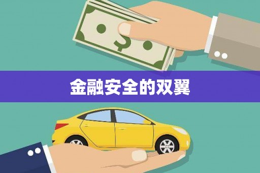 内湖金融安全的双翼