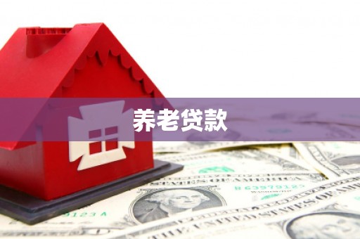 内湖养老贷款