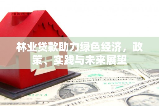 内湖林业贷款助力绿色经济，政策、实践与未来展望