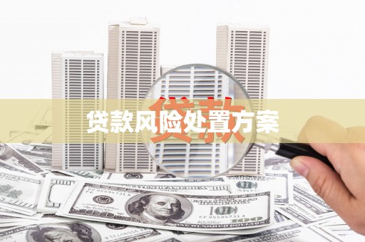 内湖贷款风险处置方案