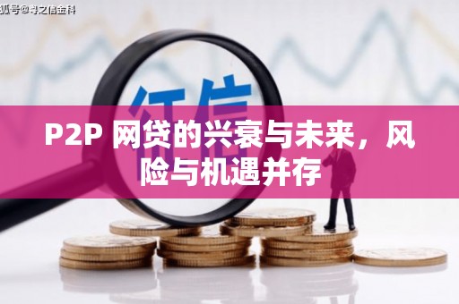 内湖P2P 网贷的兴衰与未来，风险与机遇并存