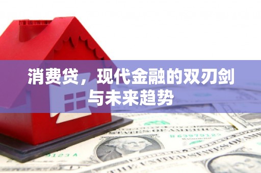 内湖消费贷，现代金融的双刃剑与未来趋势