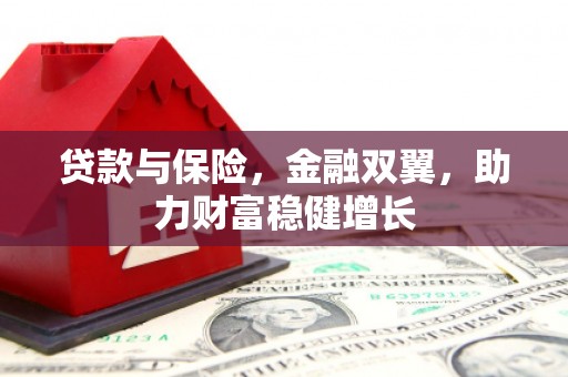内湖贷款与保险，金融双翼，助力财富稳健增长