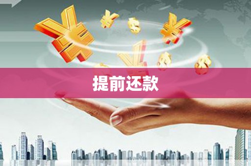 内湖提前还款