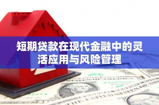 内湖短期贷款在现代金融中的灵活应用与风险管理
