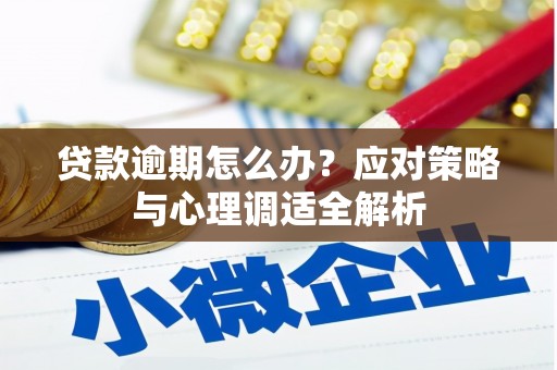 内湖贷款逾期怎么办？应对策略与心理调适全解析