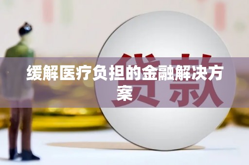 内湖缓解医疗负担的金融解决方案