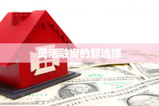 内湖灵活融资的新选择