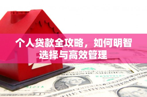 内湖个人贷款全攻略，如何明智选择与高效管理