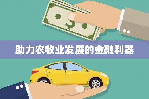 内湖助力农牧业发展的金融利器