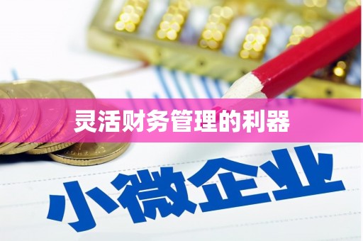 内湖灵活财务管理的利器