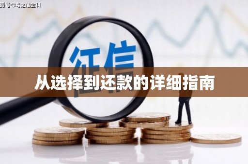 内湖从选择到还款的详细指南